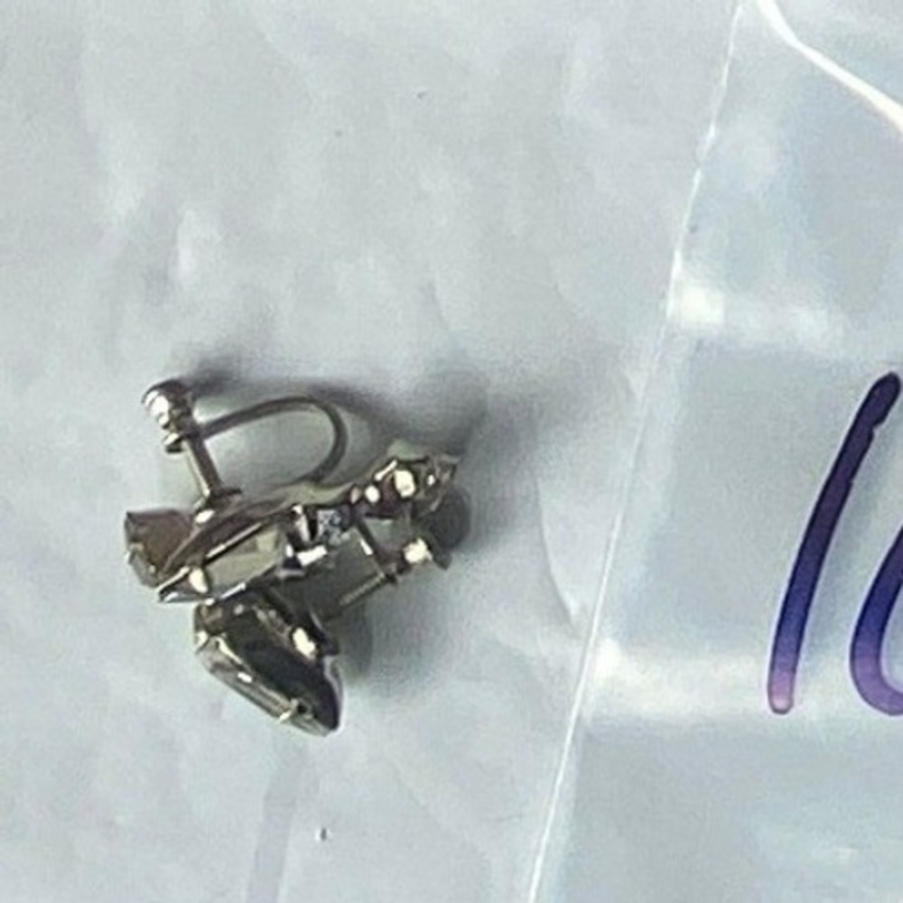 Vintage Silver Tone Screw Back Earrings